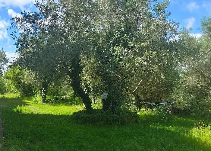 Nido Blu Loft Apartment Siena